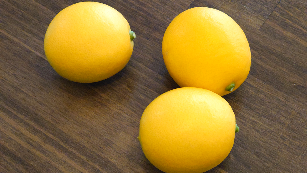 レモンの果実画像